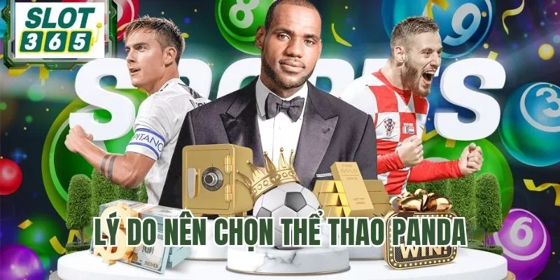 Đặc điểm nổi bật của thể thao PANDA